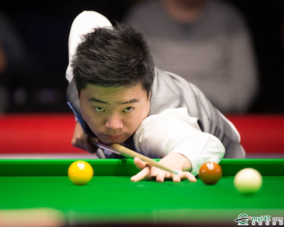 罗贝托的职 罗贝托的职